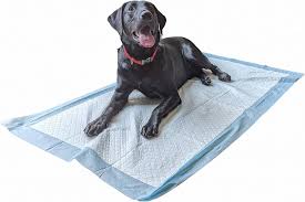 Speedwellstar 20 Extra Stora Wee Pads för Valpar – Oparfymerad Absorberande Matta 150 x 80 cm