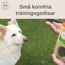 Bounce och Bella: Spannmålsfritt Godis för Hundträning